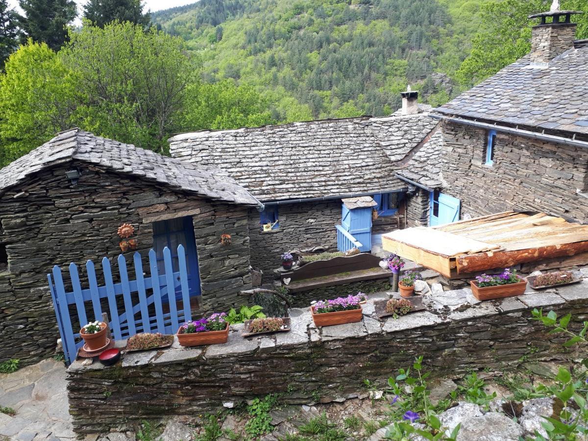 Lou Cabanis Villa Saint-Germain-de-Calberte Kültér fotó